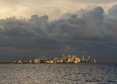 Downtown Miami at sunset