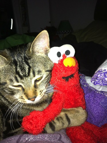 Fluffy With Elmo