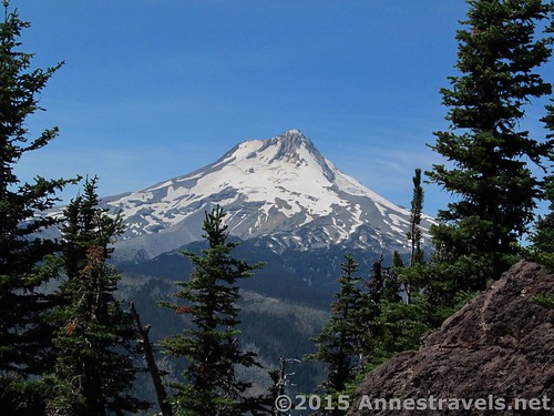 View from the first viewpoint on the Lookout Mountain Loop Trail, Mount Hood National Forest, Oregon