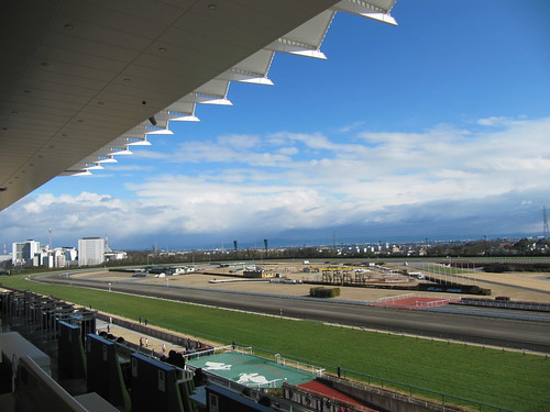 中京競馬場