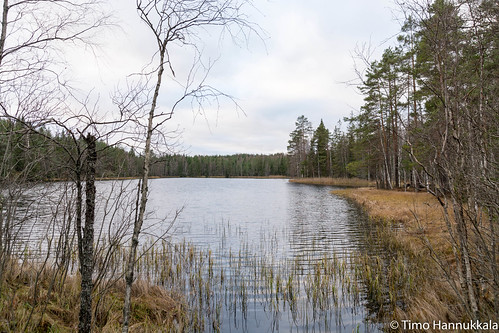 autumn lake nature forest finland nikon sigma fi recreation orivesi 18250 f3563 pukala pirkanmaa d7100 dcmacrooshsm vähämusturi