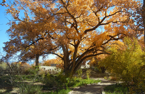 road park autumn trees mountain newmexico nature clouds shadows scenic science geology cottonwoods