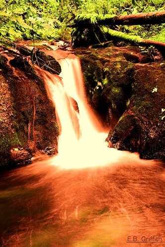 creek woodland eos waterfall 7d infrared olympia false capitalforest porterfalls