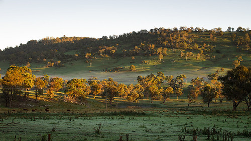 sunrise landscape pentax australia nsw k5 carlzeiss zk distagont235