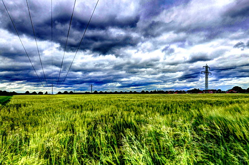 trees sky color tree nature colors field clouds germany dark landscape deutschland photography countryside photo corn nikon europa europe raw power wind photos country natur feld himmel wolken windy line professional national land landschaft bäume baum hdr geographic celle germania dunkel highvoltage wolkig stromleitung getreide ländlich couldy hochspannungsleitungen d7000 igersgermany igersoftheday instagermany igerscelle
