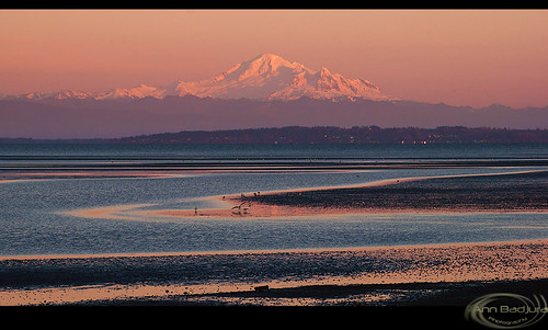 ocean sunset usa canada nature birds vancouver reflections landscape scenery glow view britishcolumbia delta tsawwassen pacificnorthwest boundarybay washingtonstate mountbaker vancity pacificnw boundarybayregionalpark miss604 southdelta insidevancouver vancitybuzz sonyslta57