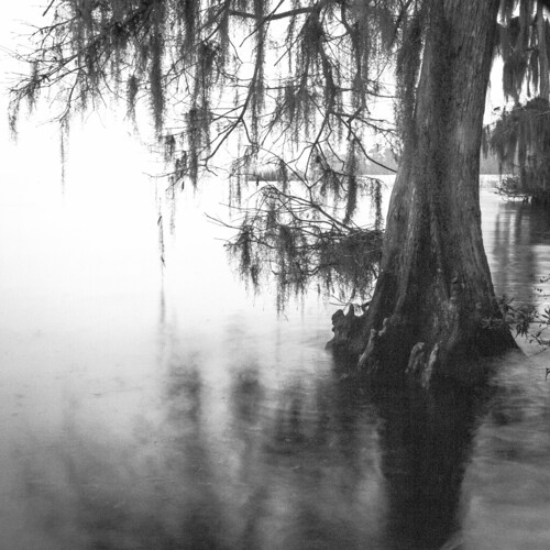 lake canon unitedstates florida dusk cypress crescentlake bunnell