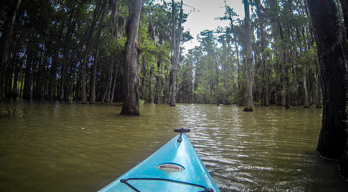 southcarolina kayaking paddling lakemarion santeeriver lcu lowcountryunfiltered lowfallslanding poplarcreeklanding