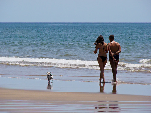girls dog reflection male beach portugal water girl animal female walking sand women couple europe walk wave bikini algarve bathingsuit swimwear views1000 streetphotorgraphy