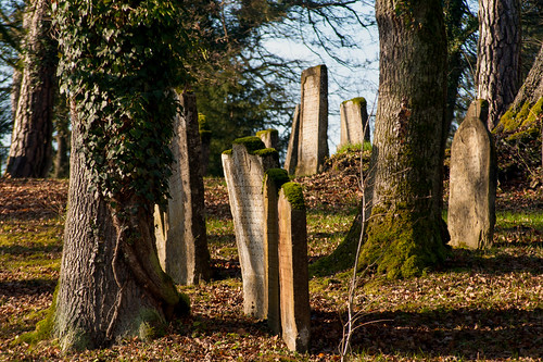 wood old sunlight cemetery switzerland nikon january gravestone jewishcemetery endingen grabsteine 2014 lengnau d700 cantonofaargau