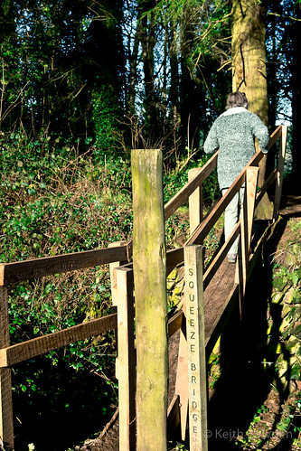 uk bridge england woodland landscape countryside ditch devon rails fencing unusual title posts passage footpath narrow distinctive squeezing crossingover sqeezing