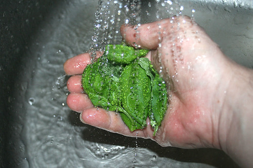 41 - Basilikum waschen / Wash basil