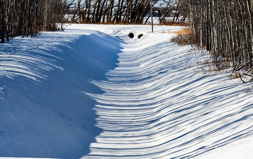 trees winter snow canada cold nature water outdoors nikon shadows ditch stripes manitoba drainage d5200