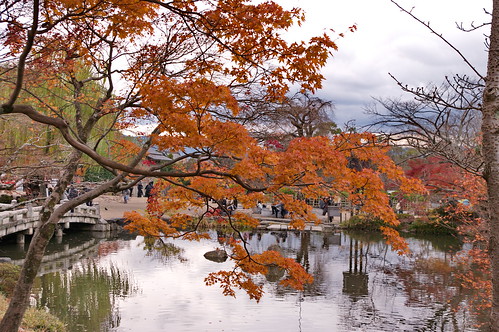 【写真】2012 紅葉 : 円山公園/2021-09-23/IMGP7993