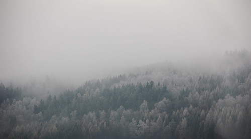 wood trees winter mist snow mountains nature fog clouds forest canon landscape poland polska picturesque zima sudety lowersilesia dolnośląskie dolnyśląsk kudowazdrój canoneos550d canonefs18135mmf3556is