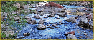 Virgin River along Emerald Pools Trail 4-29-14n