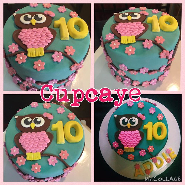 Owl Cake by Cupcaye
