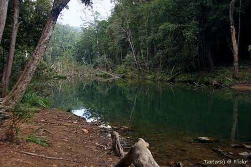 water creek nationalpark australia qld queensland daguilar mountmee