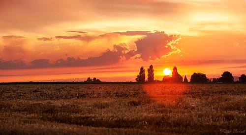 sunset field clouds cornfield rocketman fantasy searching
