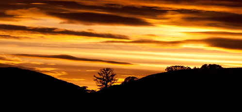 sunset sky tree clouds montana