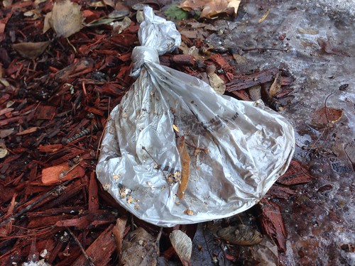 Found in the Melting Snow: Dog Poop in a Bag