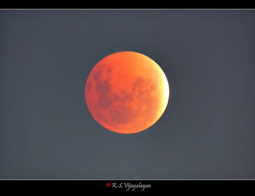 The blood moon + Lunar eclipse