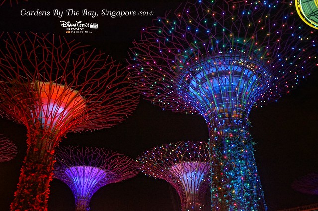 Singapore - Gardens By The Bay 15