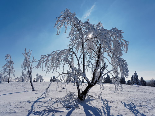 schnee winter natur landschaft sauerland winterberg 2015