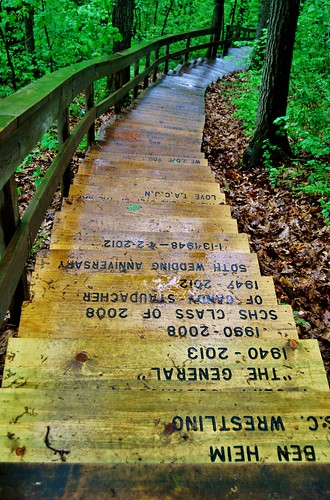statepark nature minnesota stairs carved elba whitewater hiking path hill steps firetower