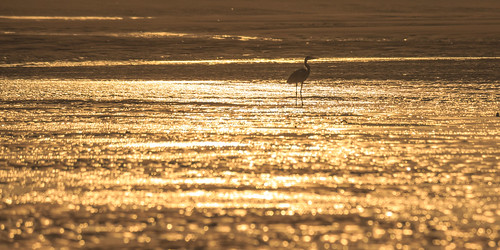 sunset canon river 550d kiss4 t2i canon55250mm