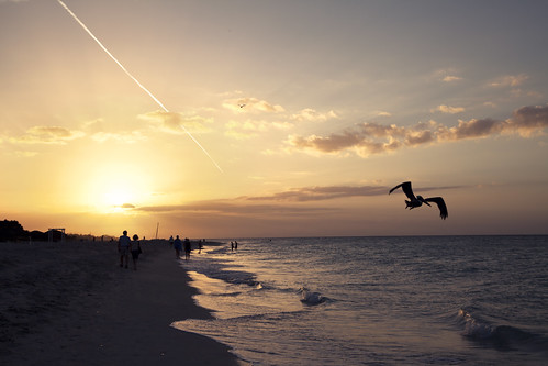 light sunset people sun beach water clouds golden day cuba pelican hour caribbean varadero kuba pwpartlycloudy