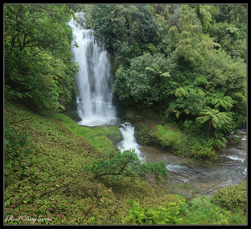 green forest waterfall waitunguru