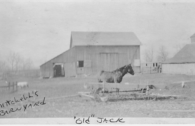 Mitchell's Barnyard with "Old Jack"