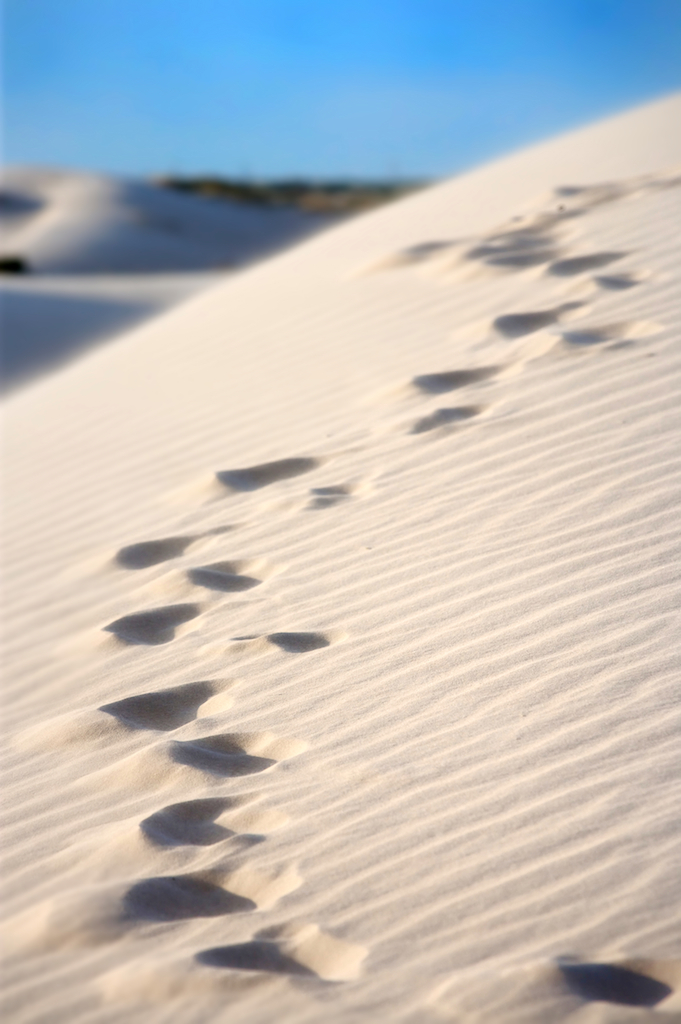 White sand, An image of footprints in a windswept sand dune, photographic art, for home and office décor. (112)