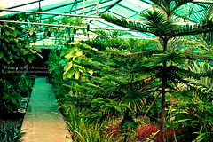 Latif Herbarium and Botanical Garden