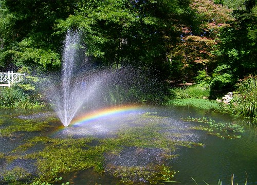 park nature water fountain garden newjersey rainbow pond watergarden mercercounty sayengardens