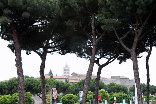 trees italy church june canon italia view pines duomo viterbo oldcity lazio distant instantfave 2013
