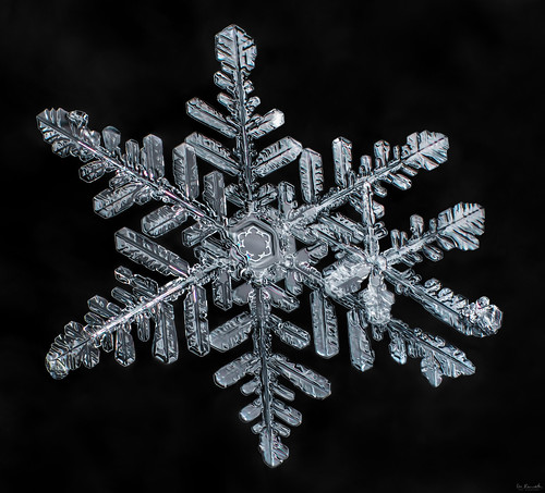 snowflake christmas winter cold macro ice water beauty crystal science mpe donkom