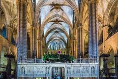 Catedral de Barcelona 3708
