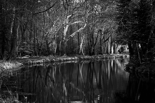 white black reflection water glass puddle mono mirror canal shiny sharp brookwood