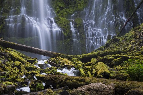 green oregon waterfall moody threesisterswilderness cascadefoothills lowerproxyfalls
