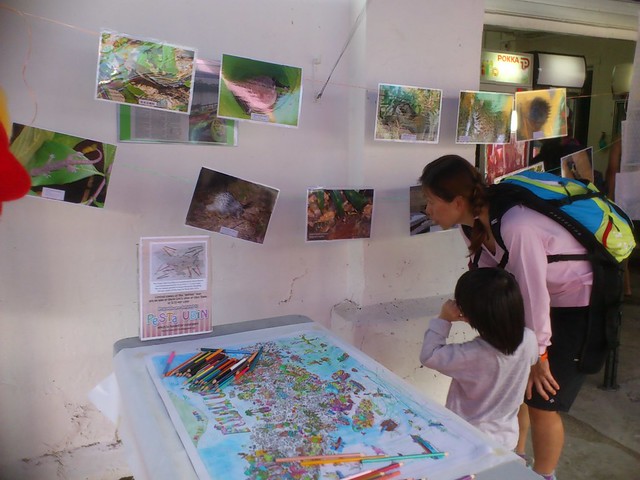 The Vertebrates of Ubin posters with colouring stations