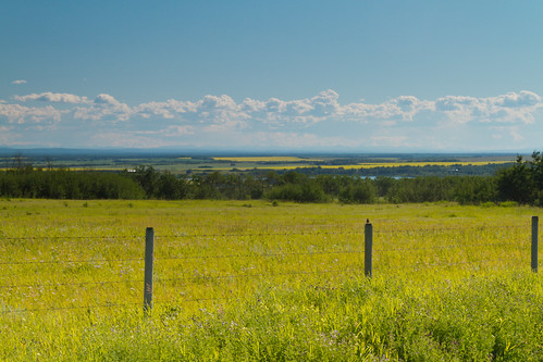 summer canada field fence landscape grande wire scenery farm country north alberta prairie barbed