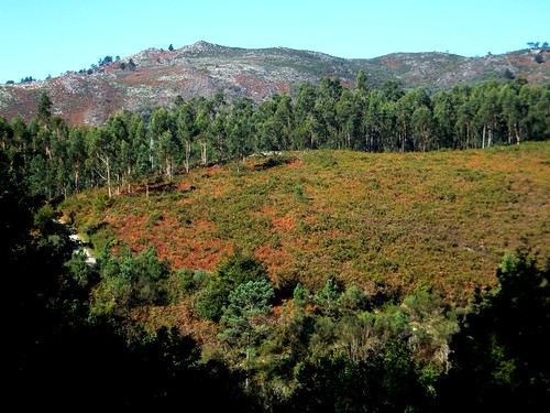 trekking spain hiking galicia senderismo pontevedra covelo maceira suido barciademera fofe osuido rectoraldefofe cotoagudo teresalaloba rednatura2000 pontemedievaldefofe ponteromanodefofe prg95 playafluvialdemaceira rutadoscarranos rutadoscarranos026 pasosdeportaliñares aserraderodoscarranos aserraderohidráulicodoscarranos regatodevixiáns regatodesanbreixo cruceirodemaceira