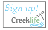 Creeklife Signup Button