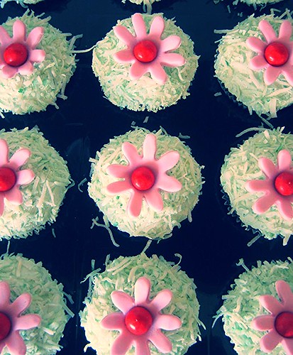 Daisies Cupcakes