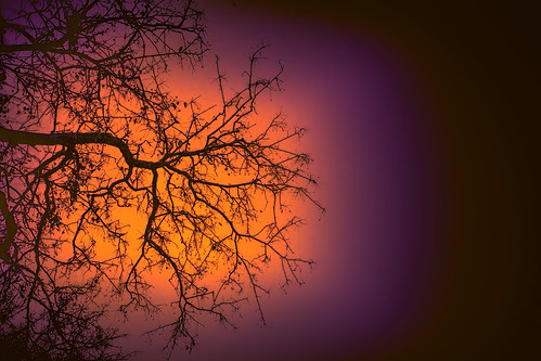 travel sky abstract tree art silhouette canon eos texas vignette ef2470mmf28lusm 6d davismountains restyle topazlabs