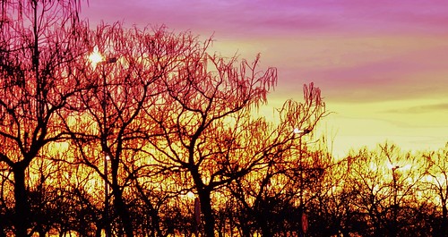 street blue trees red sky urban colors clouds sunrise landscape spain