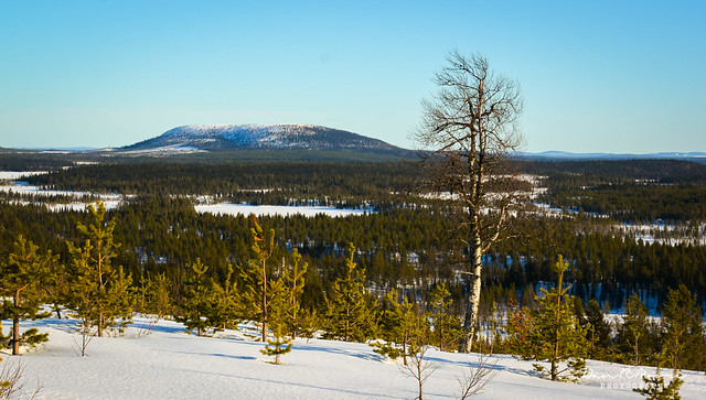 An Arctic Adventure in Swedish Lapland - Swedish Lapland