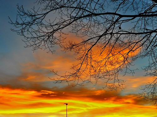 sunset sky españa tree clouds atardecer spain farola branches lamppost cielo nubes árbol cantabria ramas piélagos vioño